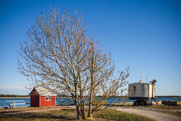 Bibikow, Walter 아티스트의 Sweden-Gotland Island-Blase-former lime factory-steam shovel작품입니다.